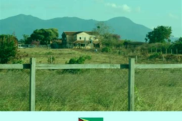 Ivy, 23 — Escort in Lethem, Guyana