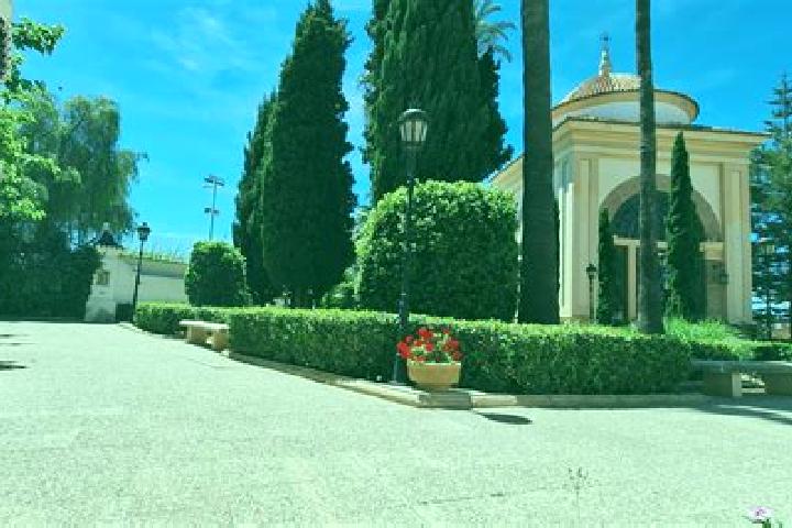 Ivy, 23 — Escort in Meliana, Spain