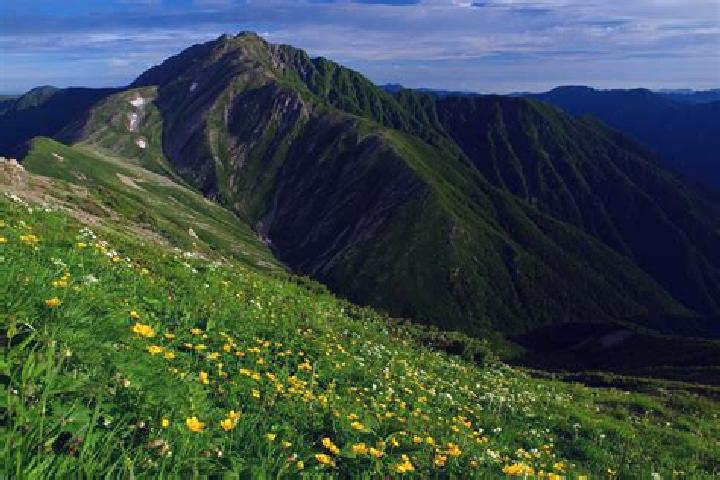 Ivy, 23 — Escort in Minami-Alps, Japan