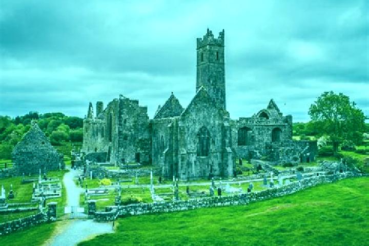 Ivy, 23 — Escort in Quin, Ireland