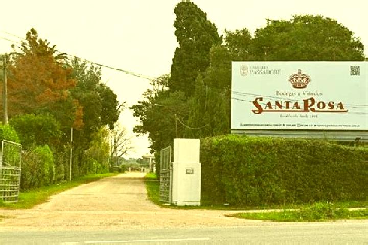 Ivy, 23 — Escort in Santa Rosa, Uruguay