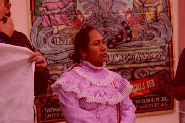 Ivy, 23 — Escort in Santiago Mexquititlan Barrio 4to., Mexico
