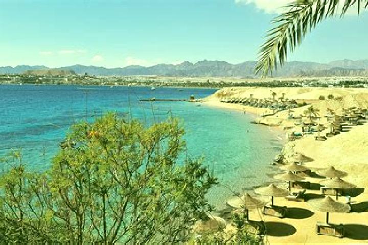 Ivy, 23 — Escort in Sharm el-Sheikh, Egypt
