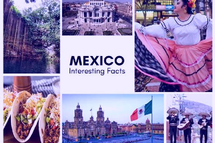 Ivy, 23 — Escort in Tecoxtle, Mexico
