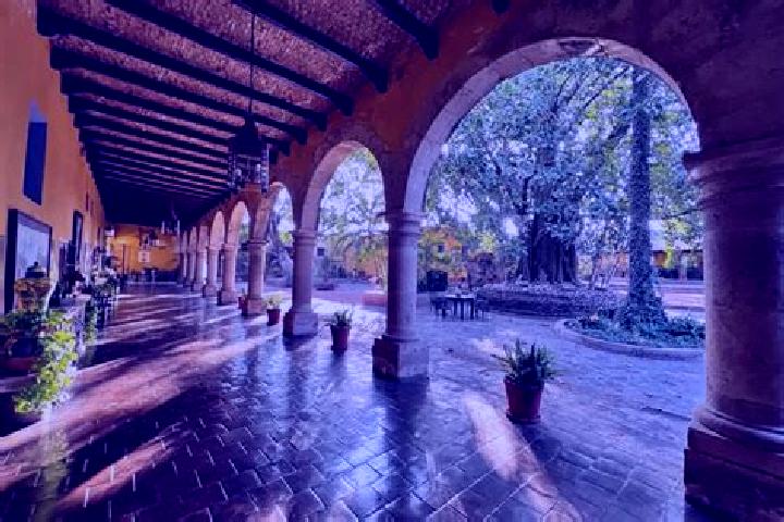 Ivy, 23 — Escort in Tepoztlan, Mexico