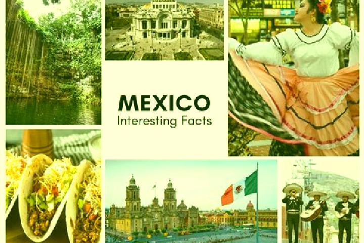 Ivy, 23 — Escort in Tlachimaltepec, Mexico