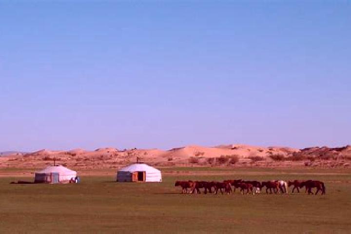 Ivy, 23 — Escort in Ulaanjirem, Mongolia
