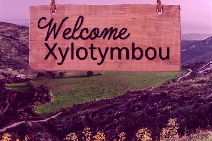 Ivy, 23 — Escort in Xylotymbou, Cyprus