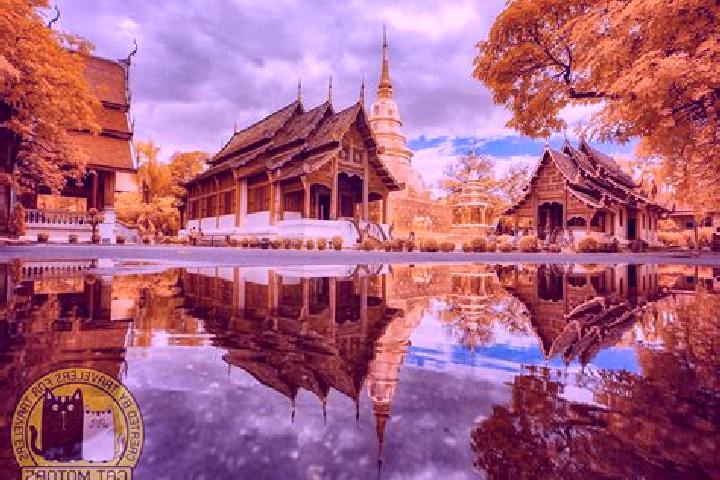 Ivy, 24 — Escort in Chom Phra, Thailand