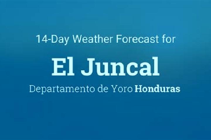 Ivy, 24 — Escort in El Juncal, Honduras