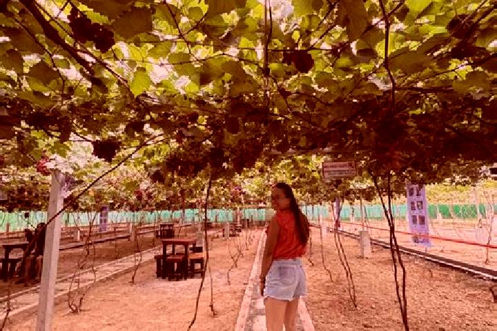 Ivy, 24 — Escort in Laguitas, Philippines