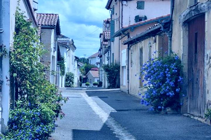 Ivy, 24 — Escort in Montfort-en-Chalosse, France