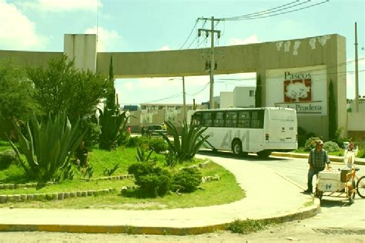 Ivy, 24 — Escort in Paseos de la Pradera, Mexico