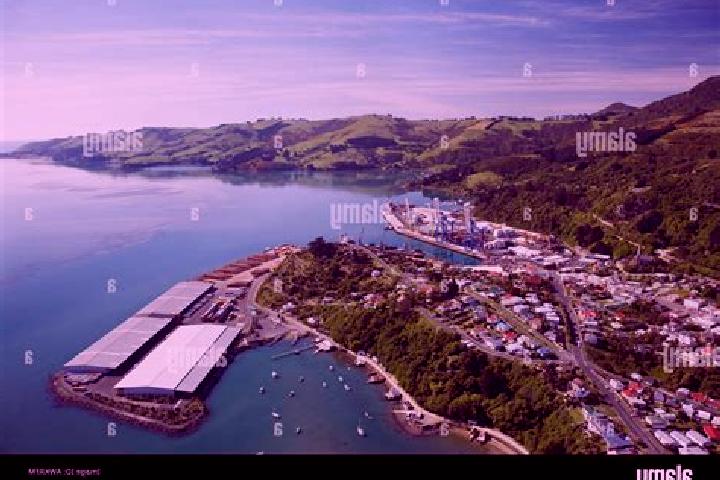 Ivy, 24 — Escort in Port Chalmers, New Zealand