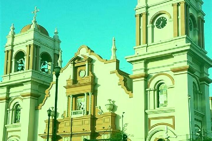 Ivy, 24 — Escort in San Pedro Paredes, Mexico