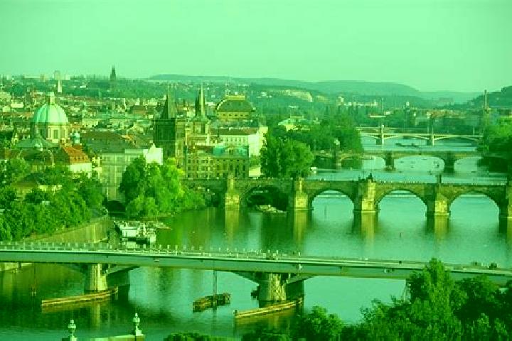 Ivy, 24 — Escort in Svetice, Czech Republic