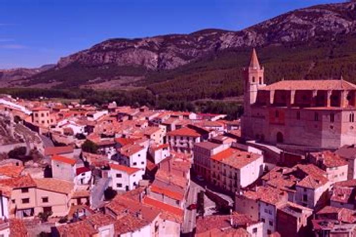 Ivy, 24 — Escort in Torre los Negros, Spain