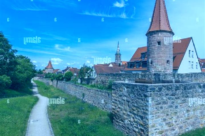 Ivy, 24 — Escort in Wolframs-Eschenbach, Germany