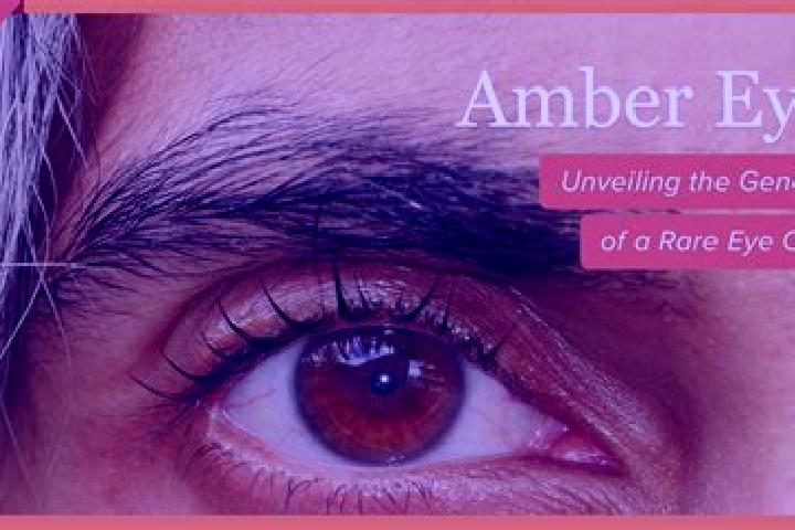 Ivy, 25, a black amber-eyed slavic companion based in Timmernabben. Offering Erotic Massage, A-Level, Prostate Massage, GFE. Available for incall and outcall...
