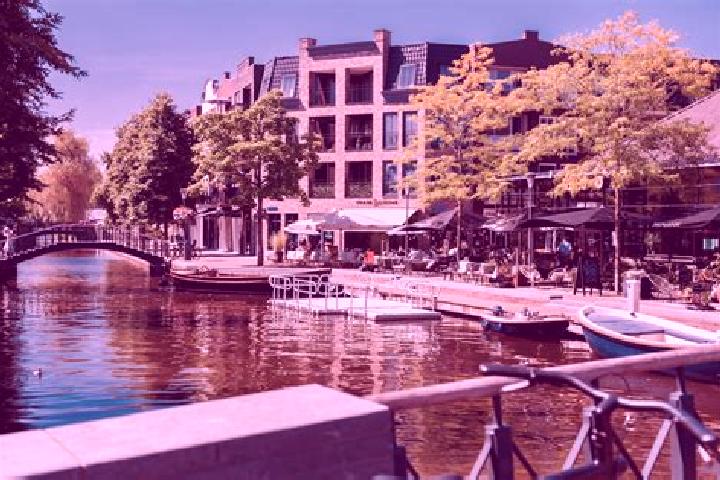 Ivy, 25 — Escort in Alphen, Netherlands