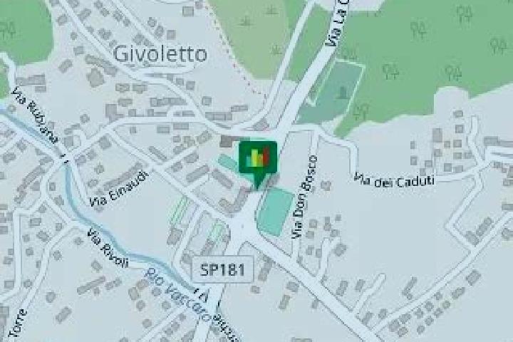 Ivy, 25 — Escort in Givoletto, Italy