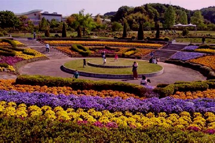 Ivy, 25 — Escort in Iwanuma, Japan