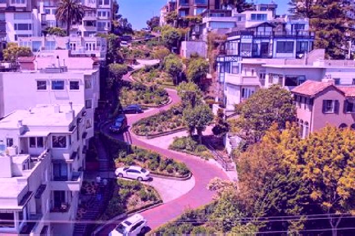Ivy, 25 — Escort in Lombard, United States