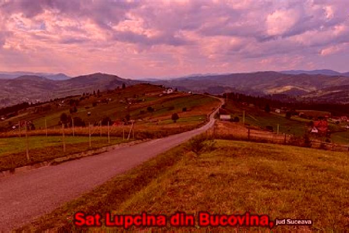 Ivy, 25 — Escort in Lupcina, Romania