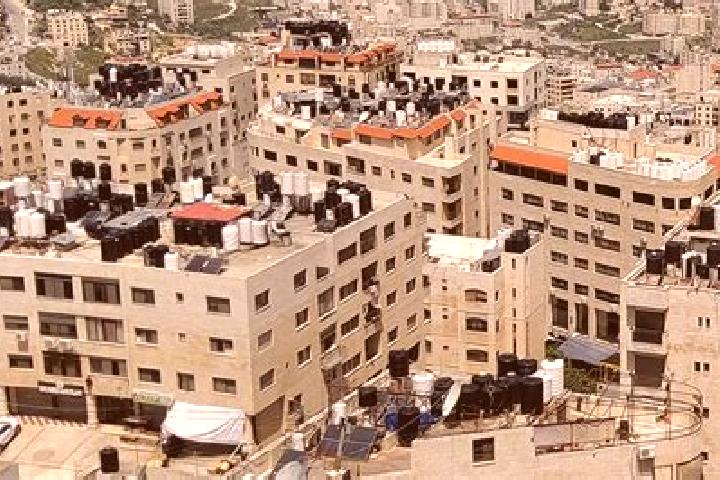 Ivy, 25 — Escort in Nablus, Palestine