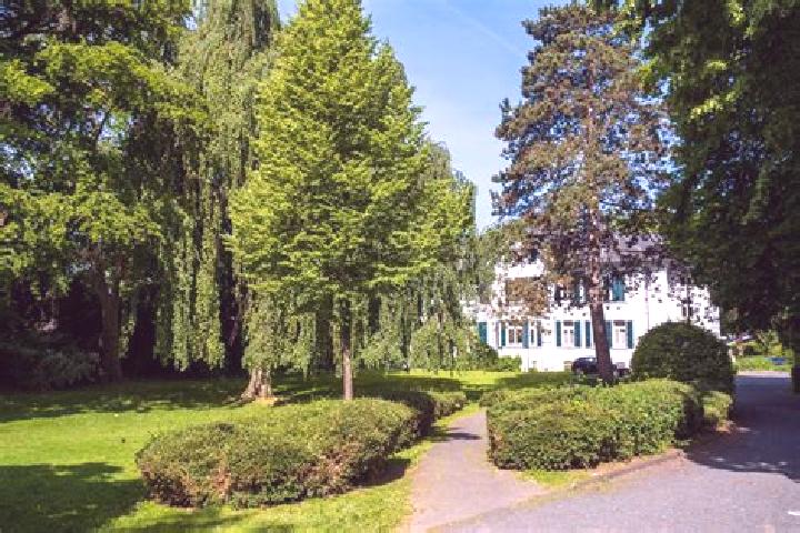 Ivy, 25 — Escort in Oberpleis, Germany