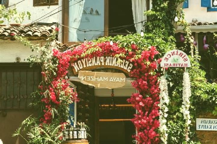 Ivy, 25 — Escort in Odabasi, Turkey