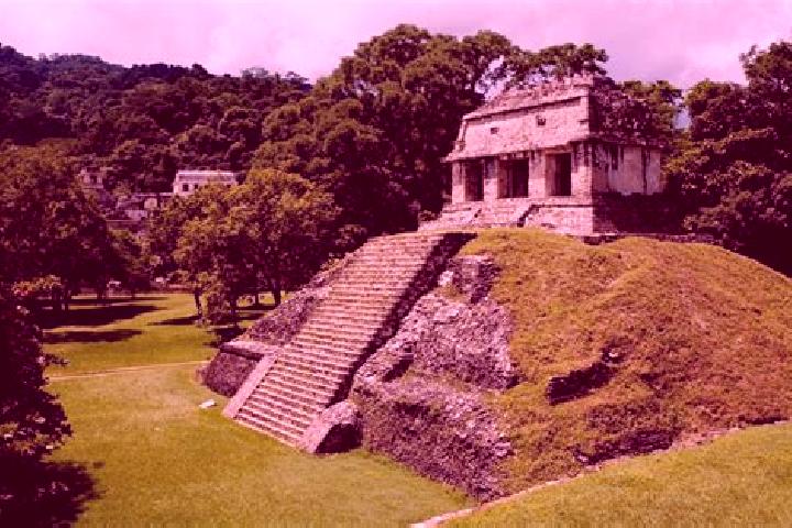 Ivy, 25 — Escort in Palenque de los Pinos, Mexico