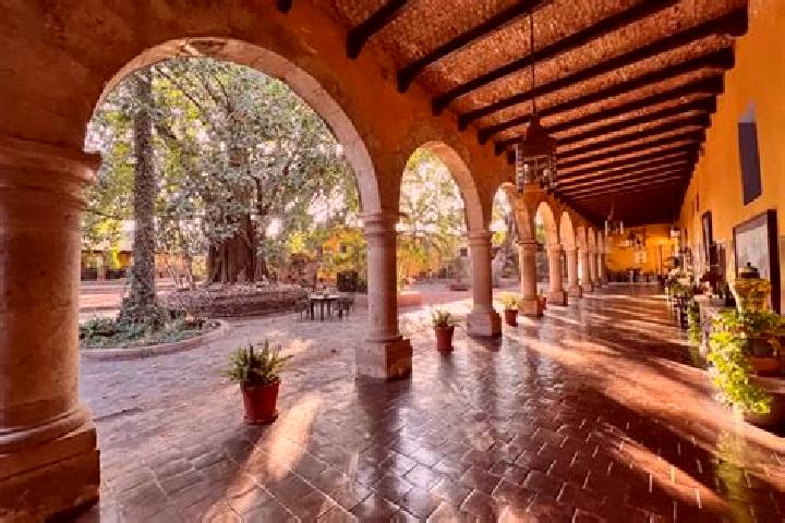 Ivy, 25 — Escort in Pochotillo, Mexico