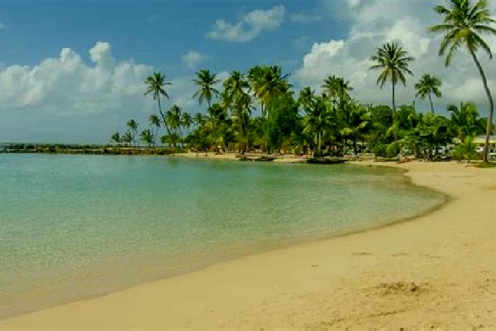Ivy, 25 — Escort in Sainte-Anne, Guadeloupe