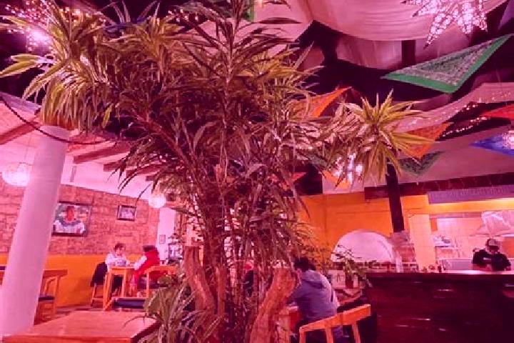 Ivy, 25 — Escort in Taniperla, Mexico