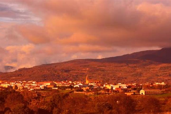 Ivy, 25 — Escort in Tejeda de Tietar, Spain