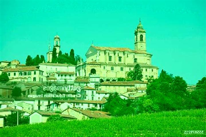Ivy, 25 — Escort in Vignale Monferrato, Italy