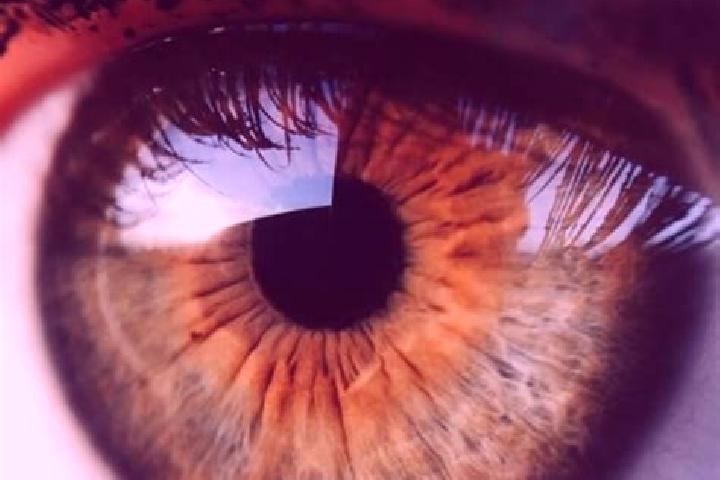 Ivy, 26, a dark blonde hazel-eyed caucasian companion based in Stellanello. Offering Domination, Striptease, CIM. Available for incall and outcall, overnight...