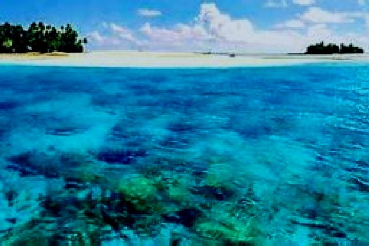 Ivy, 26 — Escort in Banana, Kiribati