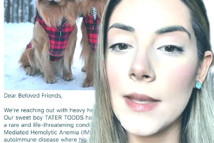 Ivy, 26 — Escort in Budzyn, Poland