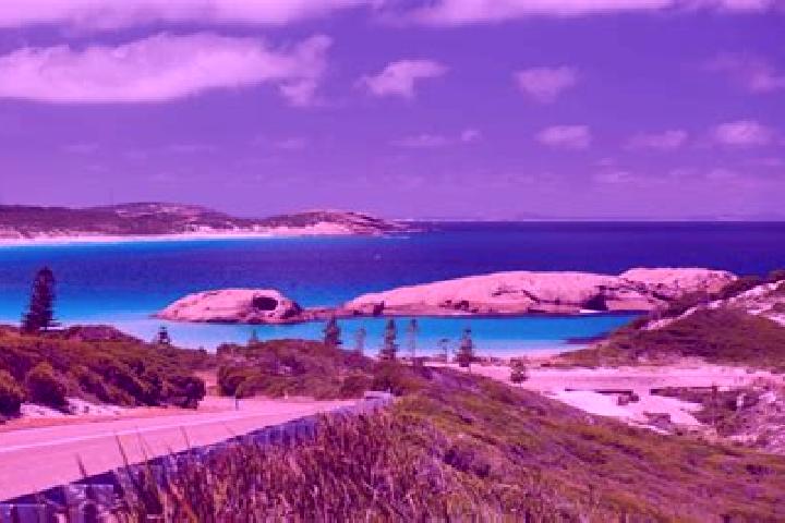 Ivy, 26 — Escort in Esperance, Australia