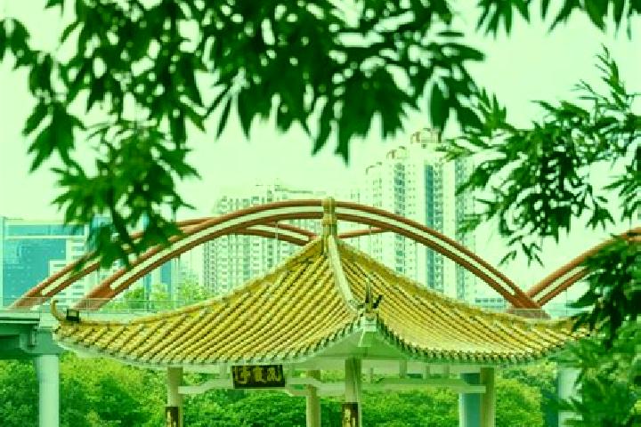 Ivy, 26 — Escort in Honghu, China
