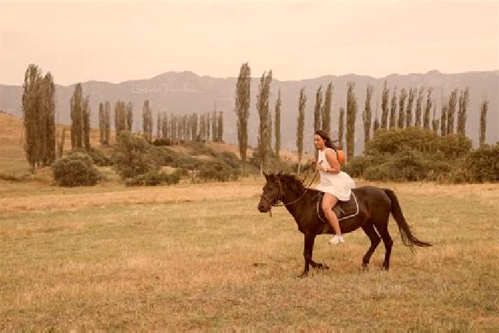 Ivy, 26 — Escort in Khachik, Armenia