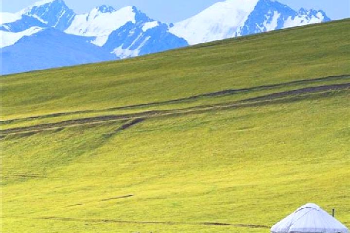 Ivy, 26 — Escort in Kulan, Kazakhstan