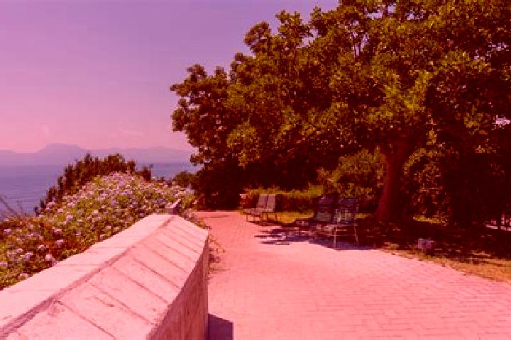 Ivy, 26 — Escort in Parco Mazzola, Italy
