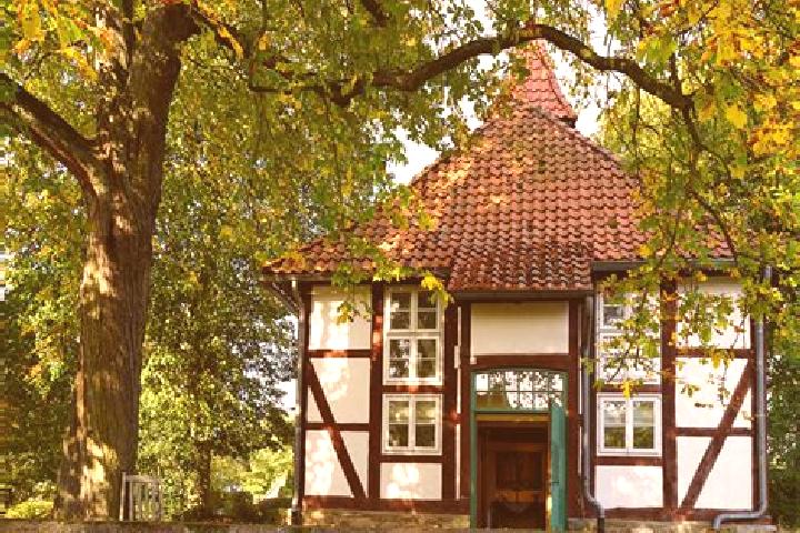 Ivy, 26 — Escort in Rohrsen, Germany