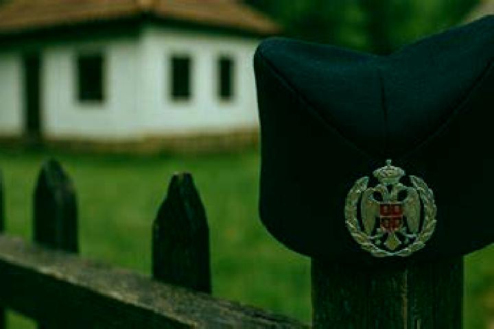 Ivy, 26 — Escort in Sajkas, Serbia