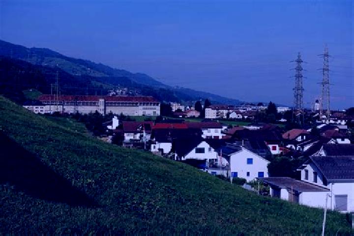 Ivy, 26 — Escort in Siebnen, Switzerland