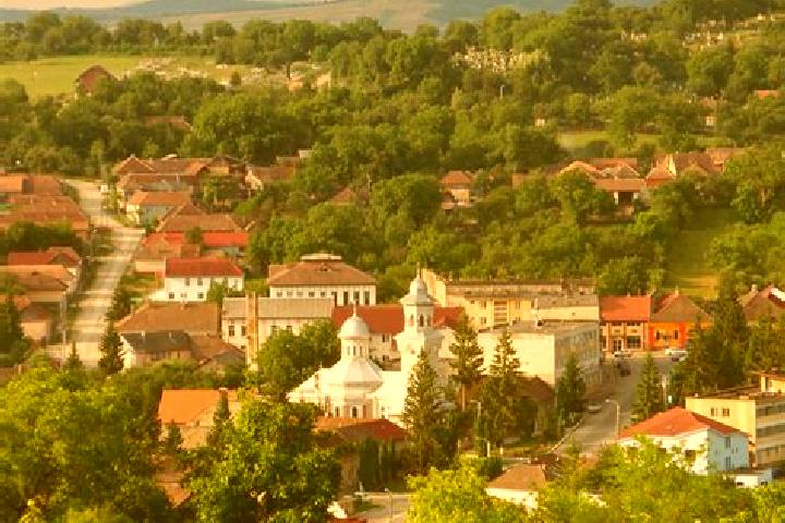 Ivy, 26 — Escort in Sighetu Silvaniei, Romania