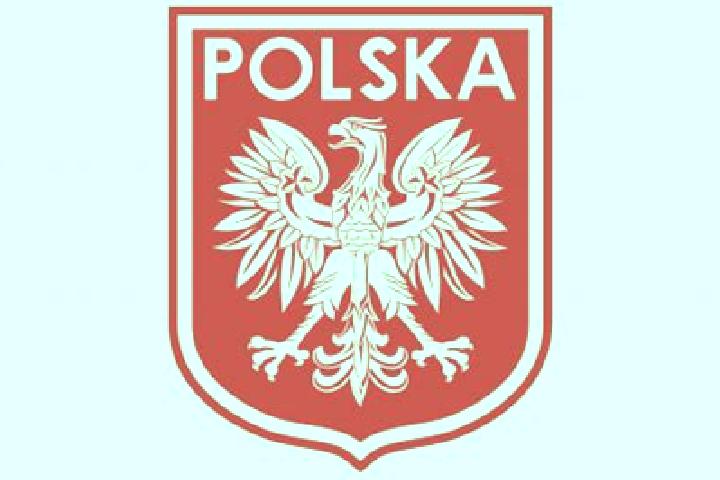 Ivy, 26 — Escort in Stoczek, Poland